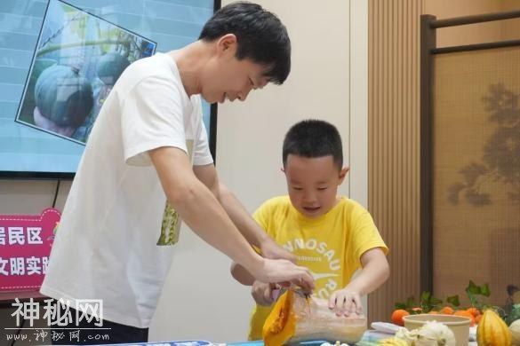 从种子到果实，探索奇妙的南瓜星球-15.jpg