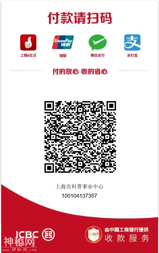 从种子到果实，探索奇妙的南瓜星球-21.jpg