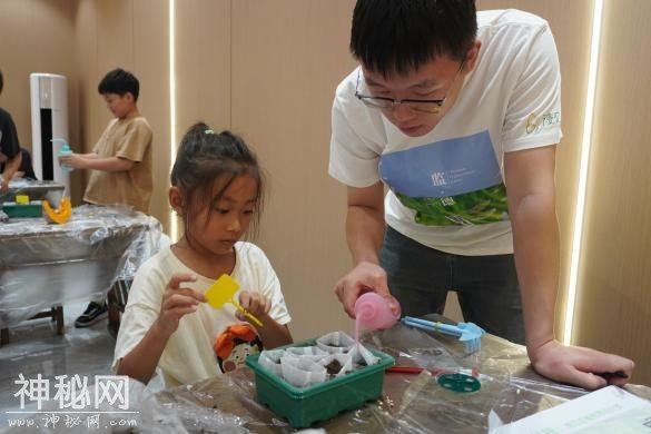 从种子到果实，探索奇妙的南瓜星球-18.jpg
