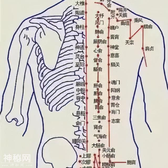 守护孩子春季健康，7种简单的推拿保健手法，自己在家也能做-9.jpg