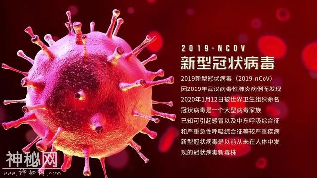 科普：生物分类-3.jpg