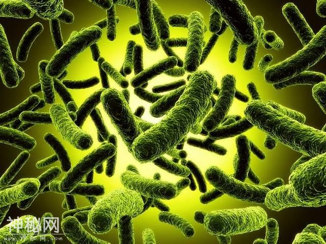 科普：生物分类-2.jpg