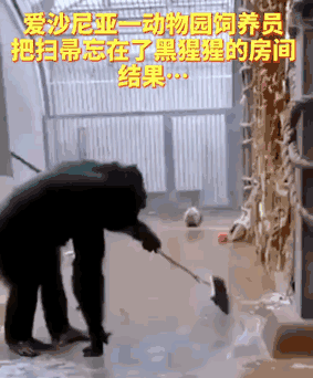 每天一笑，50张搞笑动图：夏天夏天，悄悄过去！-42.jpg