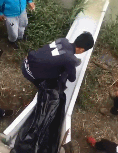 笑一笑，50张搞笑动图：向前去不了，往后倒退不了，尴尬！-47.jpg