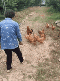 笑一笑，50张搞笑动图：向前去不了，往后倒退不了，尴尬！-62.jpg