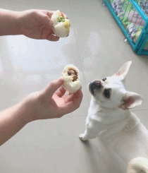 笑一笑，50张搞笑动图：向前去不了，往后倒退不了，尴尬！-72.jpg