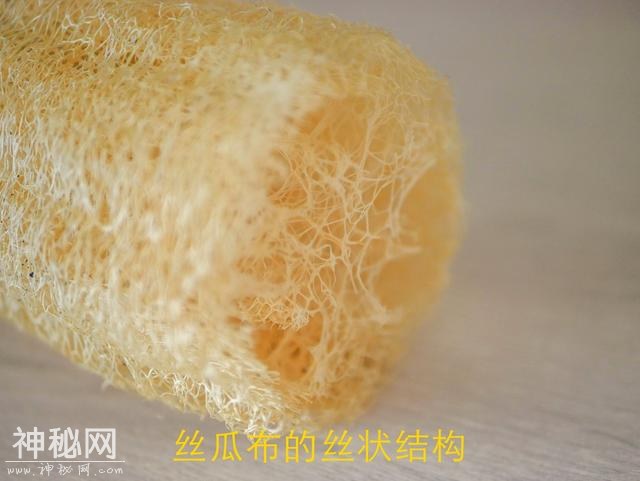 好家伙！人类首次拍到宇宙大尺度结构真貌，原来宇宙真的像丝瓜布-3.jpg
