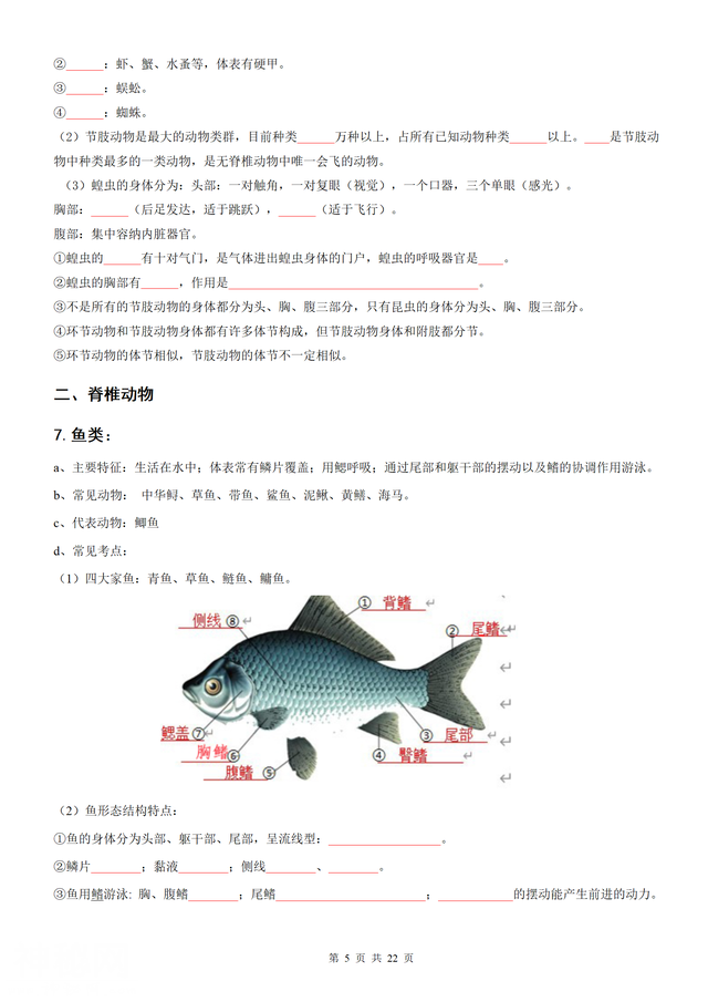 （人教）八年级上册生物期末知识总结（44页考点）学生版+教师版-5.jpg