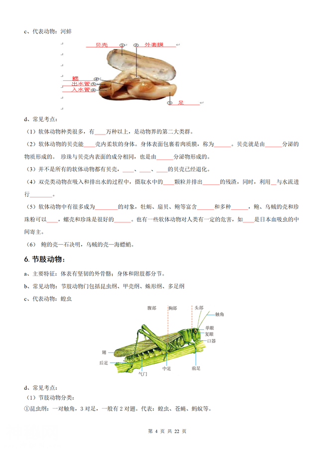 （人教）八年级上册生物期末知识总结（44页考点）学生版+教师版-4.jpg