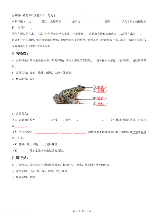 （人教）八年级上册生物期末知识总结（44页考点）学生版+教师版-6.jpg