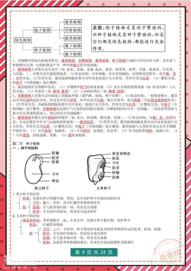 熬夜62小时！我把七年级(期末)生物90个考点，做成&#34;复习绝招&#34;-10.jpg
