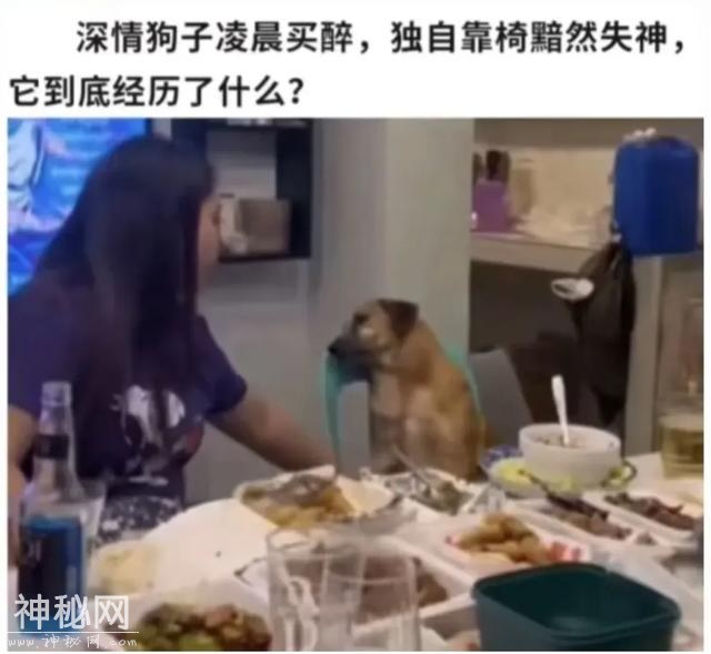 搞笑段子爆笑笑话幽默：一看就哇塞的搞笑句子-7.jpg