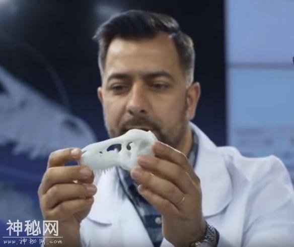 一嘴尖牙竟不吃肉？盘点10种让你印象深刻的古生物-4.jpg