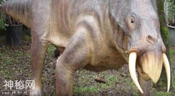 一嘴尖牙竟不吃肉？盘点10种让你印象深刻的古生物-20.jpg