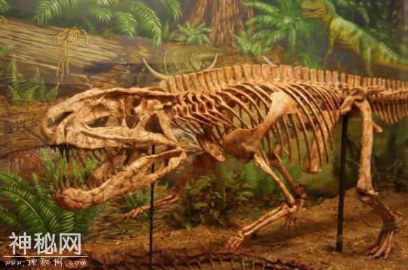 一嘴尖牙竟不吃肉？盘点10种让你印象深刻的古生物-22.jpg
