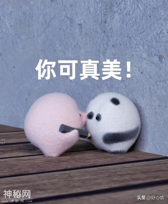 1000%笑出眼泪的爆梗搞笑句子-4.jpg