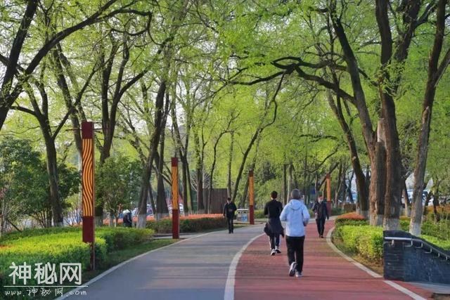 7个最简单的养生习惯，每天只要几十分钟，身体真会感谢你！-1.jpg