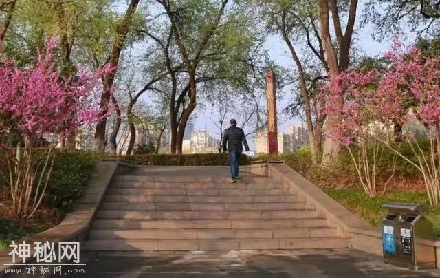 7个最简单的养生习惯，每天只要几十分钟，身体真会感谢你！-8.jpg