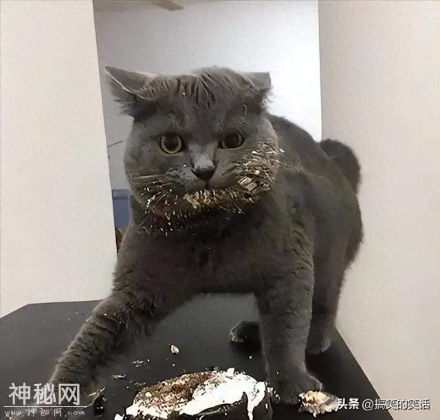 搞笑糗事经典爆笑笑话-1.jpg