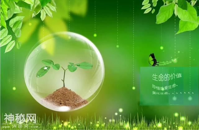 地球上哪些生物的生命现象超越了常规认知？-4.jpg