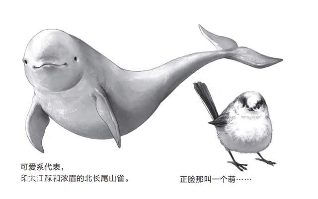 人类偏爱好看的生物：被列为保护对象的动物往往都是可爱的-1.jpg