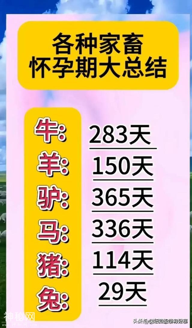 开心时刻：搞笑的段子，看一遍笑一遍，让人回味无穷，百看不厌-4.jpg
