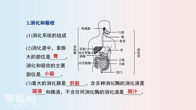 七年级(下册)生物，思维导图，寒假2天吃透，下学期多赚20分！-4.jpg