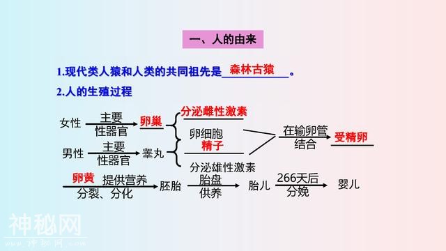 七年级(下册)生物，思维导图，寒假2天吃透，下学期多赚20分！-2.jpg