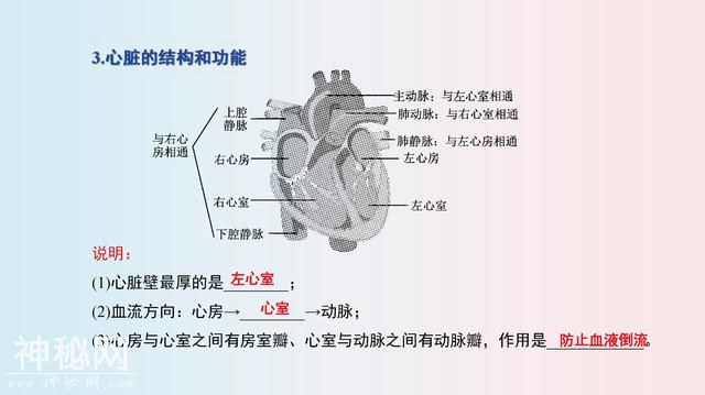 七年级(下册)生物，思维导图，寒假2天吃透，下学期多赚20分！-9.jpg