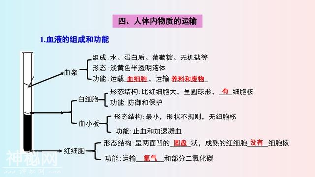 七年级(下册)生物，思维导图，寒假2天吃透，下学期多赚20分！-8.jpg