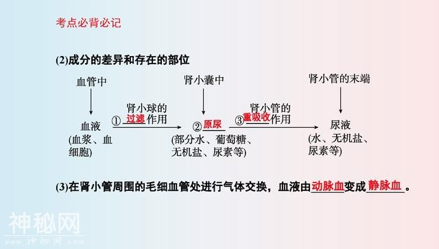 七年级(下册)生物，思维导图，寒假2天吃透，下学期多赚20分！-12.jpg