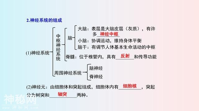 七年级(下册)生物，思维导图，寒假2天吃透，下学期多赚20分！-15.jpg