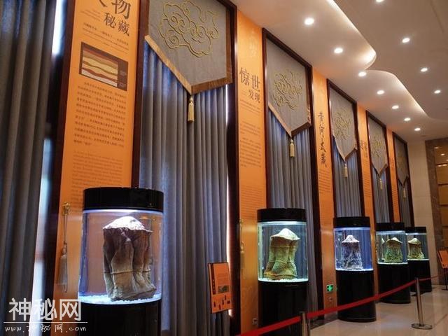 不是动物也不是植物，难道它们是神仙？原来真有长生不老的生物！-6.jpg