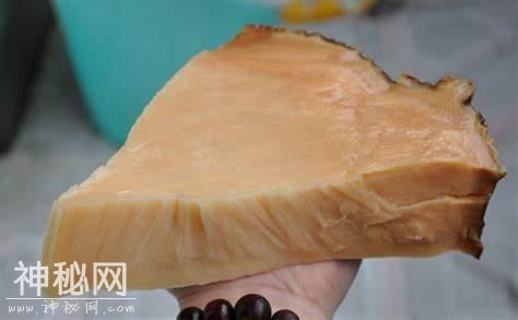 不是动物也不是植物，难道它们是神仙？原来真有长生不老的生物！-9.jpg