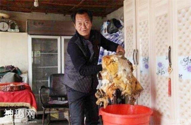 不是动物也不是植物，难道它们是神仙？原来真有长生不老的生物！-10.jpg