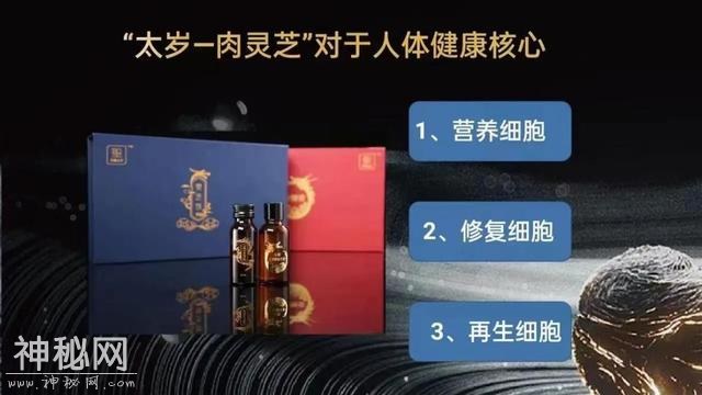 不是动物也不是植物，难道它们是神仙？原来真有长生不老的生物！-17.jpg