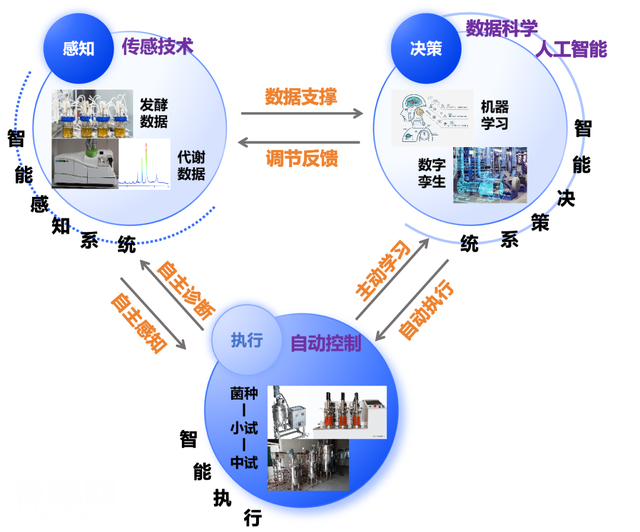 全面解析生物制造行业十大关键议题-3.jpg