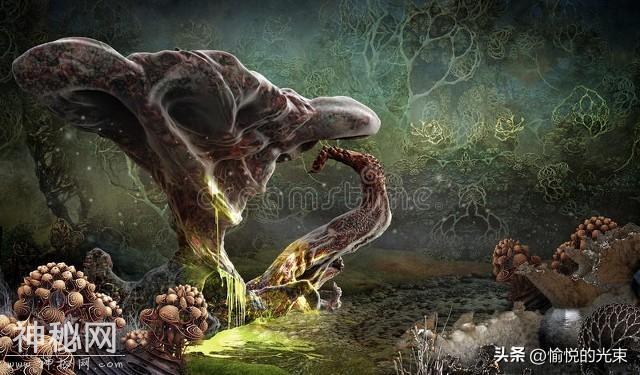 神秘生物：你是否曾见过它们的身影？-2.jpg