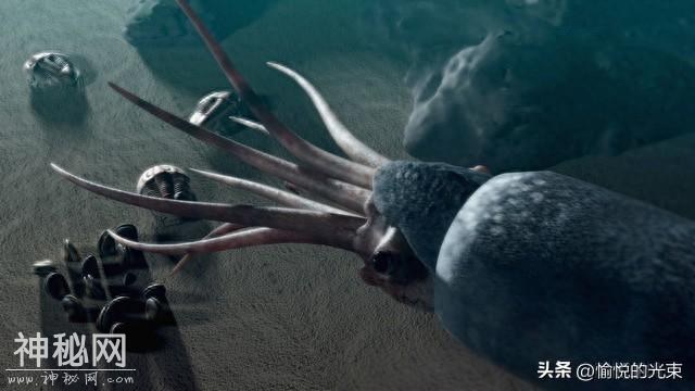 神秘生物：你是否曾见过它们的身影？-1.jpg