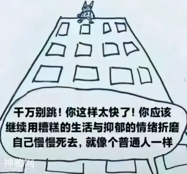 笑到肚子疼的笑话，保你乐呵一整天-2.jpg