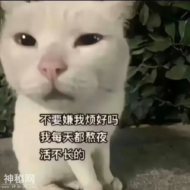 笑到肚子疼的笑话，保你乐呵一整天-3.jpg