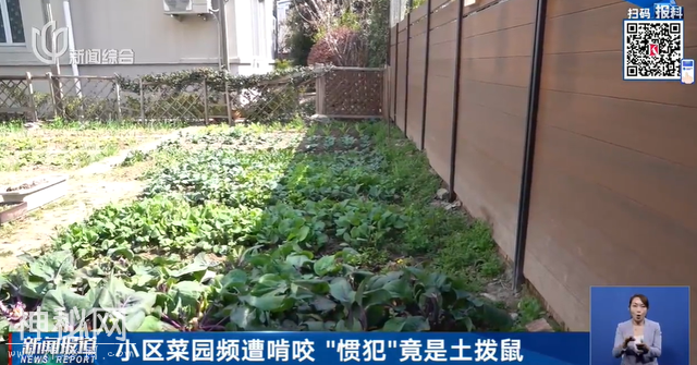 上海有小区惊现不明生物！不要摸，不要碰！紧急提醒-2.jpg
