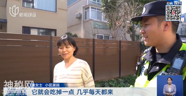 上海有小区惊现不明生物！不要摸，不要碰！紧急提醒-3.jpg