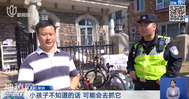 上海有小区惊现不明生物！不要摸，不要碰！紧急提醒-7.jpg
