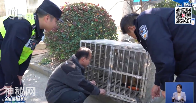 上海有小区惊现不明生物！不要摸，不要碰！紧急提醒-12.jpg