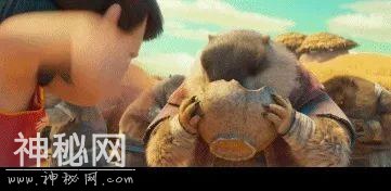 上海有小区惊现不明生物！不要摸，不要碰！紧急提醒-14.jpg
