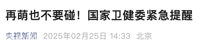 上海有小区惊现不明生物！不要摸，不要碰！紧急提醒-15.jpg