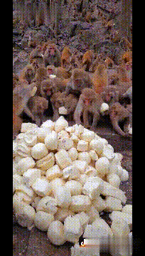 笑一笑，30张搞笑动图：年前那次，我就不该先出大王的。-12.jpg