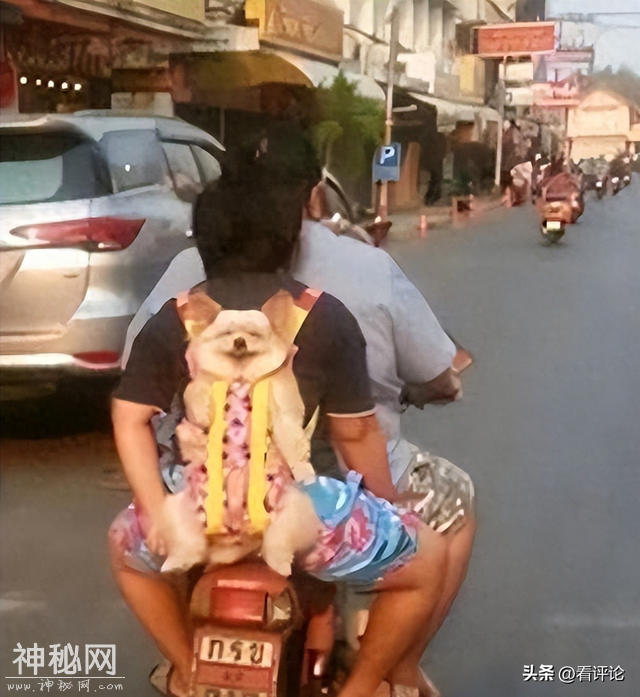 笑一笑，30张搞笑动图：年前那次，我就不该先出大王的。-19.jpg
