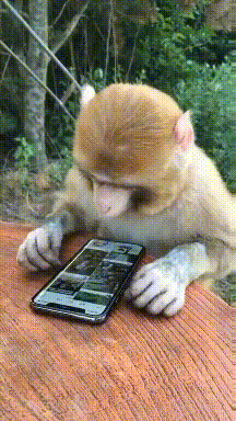 笑一笑，30张搞笑动图：年前那次，我就不该先出大王的。-26.jpg